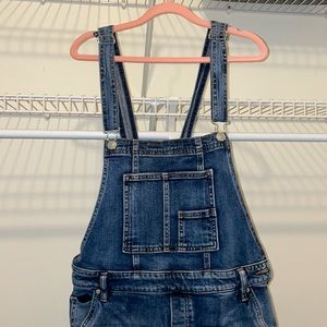 Silver Jeans Overalls